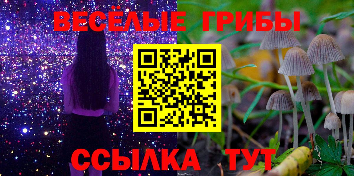 Бийск  Галлюциногенные грибы прущие грибы  Вход с VPN 